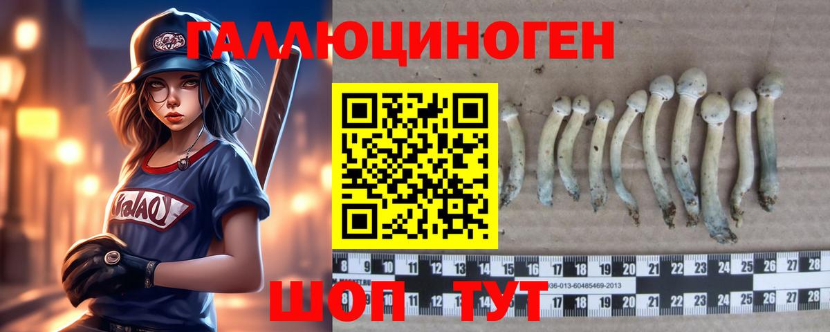 Галлюциногенные грибы MAGIC MUSHROOMS  купить  сайты  Вход с VPN  Первоуральск  Псилоцибиновые грибы прущие грибы 